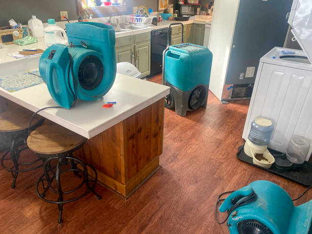 Best Commercial water damage restoration  in Bayboro, NC