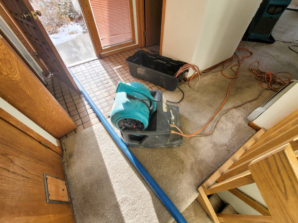 Best Water damage restoration cost  in Bayboro, NC