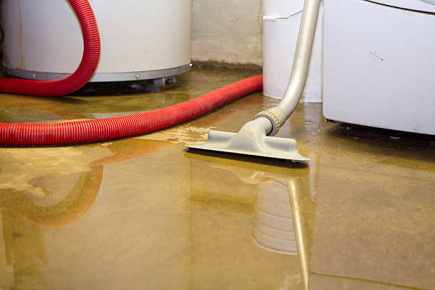 Best Ceiling water damage repair  in Bayboro, NC