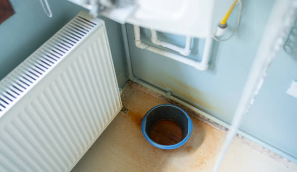 Best Professional water damage repair  in Bayboro, NC